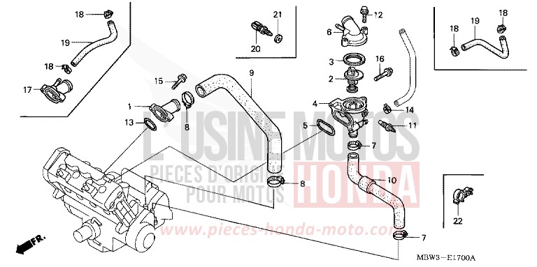TERMOSTATO per CBR600F Special Edition WINNING RED (R258) del 2001